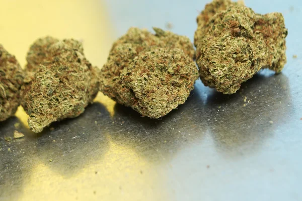 Tıbbi esrar, esrar tomurcukları