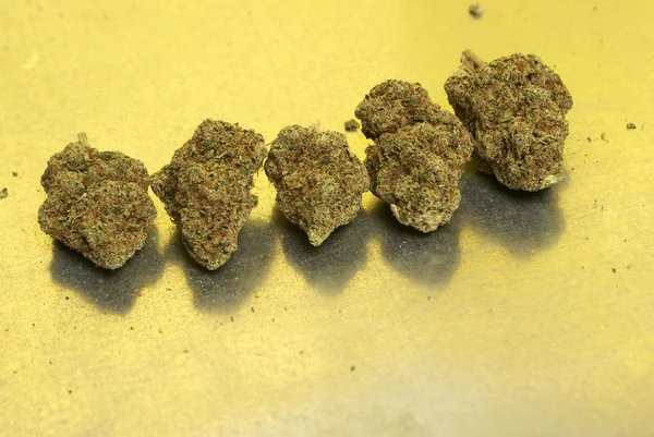 Медична марихуана, коноплі бутонів — стокове фото