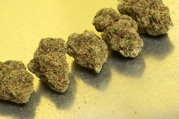 Marijuana médicale, bourgeons de cannabis — Photo