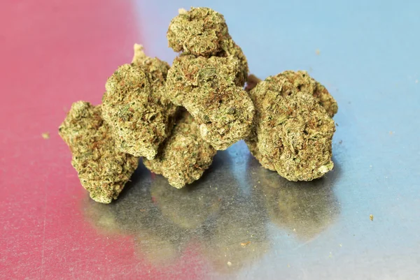 医学のマリファナ、大麻の芽 — ストック写真