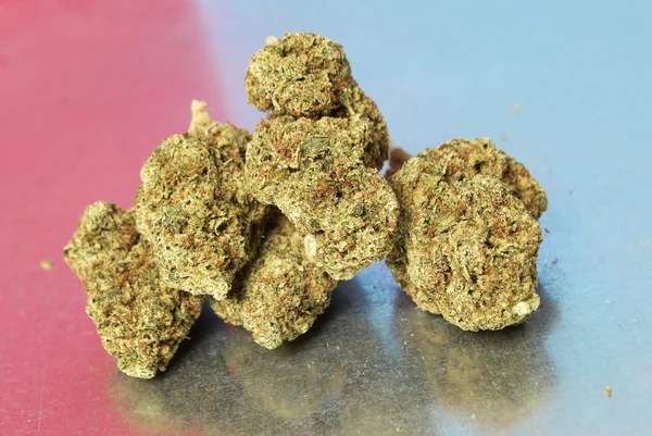 Medicinsk Marijuana, Cannabis knoppar — Stockfoto
