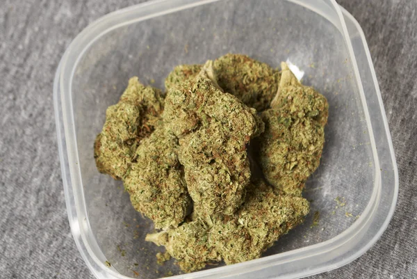 Marihuana medicinal, cogollos de cannabis —  Fotos de Stock