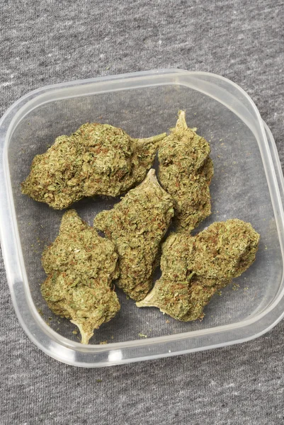 Medizinisches Marihuana, Cannabis-Knospen — Stockfoto