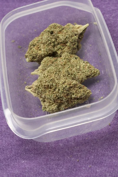 Medicinsk Marijuana, Cannabis knoppar — Stockfoto