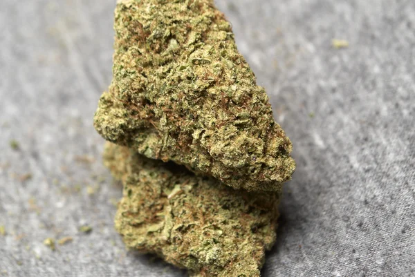 Marijuana médicale, bourgeons de cannabis — Photo