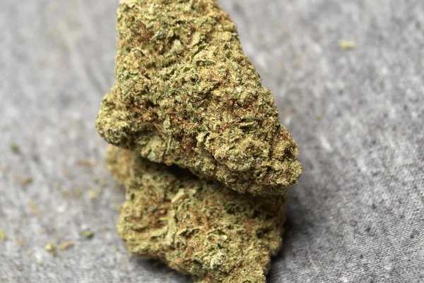 Medicinsk Marijuana, Cannabis knoppar — Stockfoto