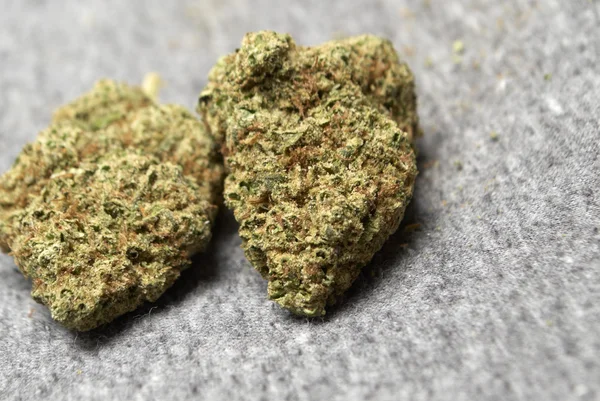 Medizinisches Marihuana, Cannabis-Knospen — Stockfoto