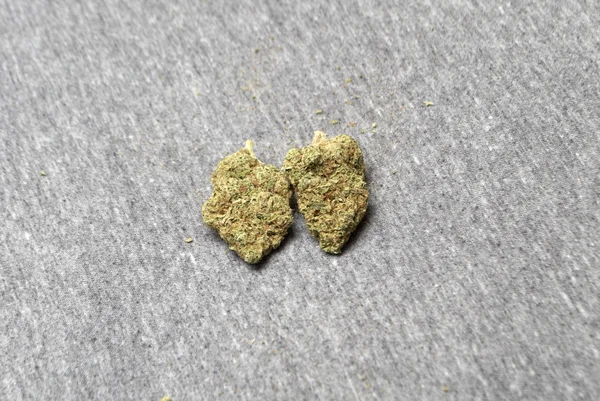 Marijuana medicinal, Buds Cannabis — Fotografia de Stock