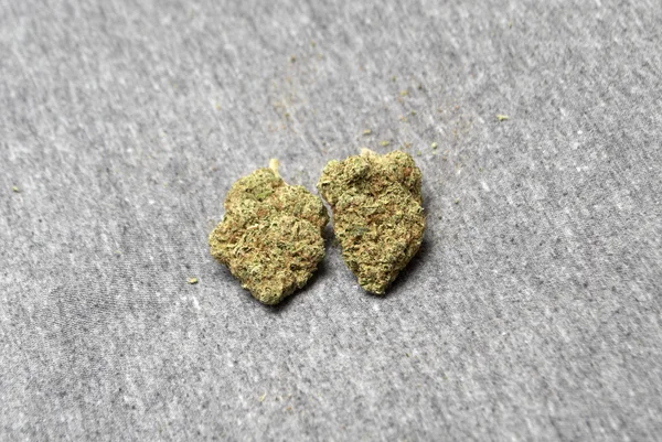 Marijuana medicinal, Buds Cannabis — Fotografia de Stock