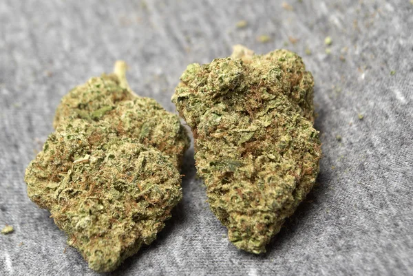 Medicinsk Marijuana, Cannabis knoppar — Stockfoto