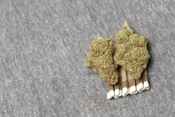 Medizinisches Marihuana, Cannabis-Knospen — Stockfoto