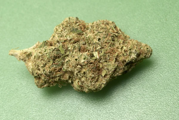 Medicinsk Marijuana, Cannabis knoppar — Stockfoto