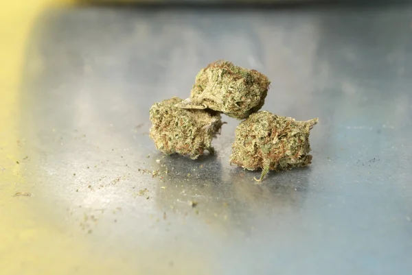 Marijuana — Photo