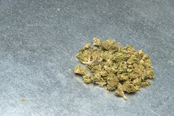 Cannabis medicinal de ervas daninhas — Fotografia de Stock