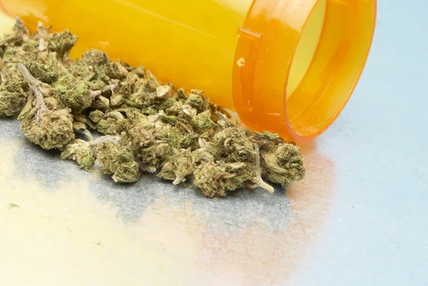 Cannabis medica erbaccia — Foto Stock