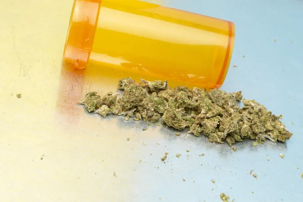 医用大麻和大麻 — 图库照片