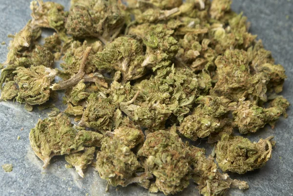 Medizinisches Marihuana und Cannabis — Stockfoto