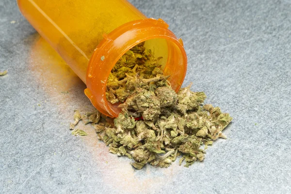 Lékařská marihuana a konopí — Stock fotografie