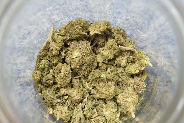 Medizinisches Marihuana und Cannabis — Stockfoto