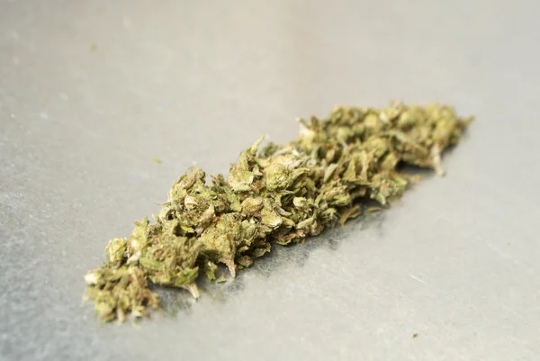 Medicinsk marihuana og cannabis - Stock-foto