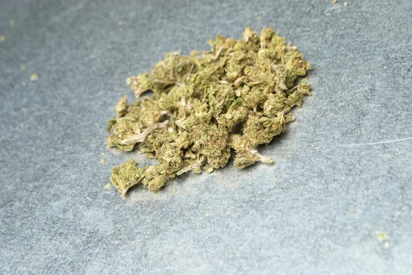 Medizinisches Marihuana und Cannabis — Stockfoto