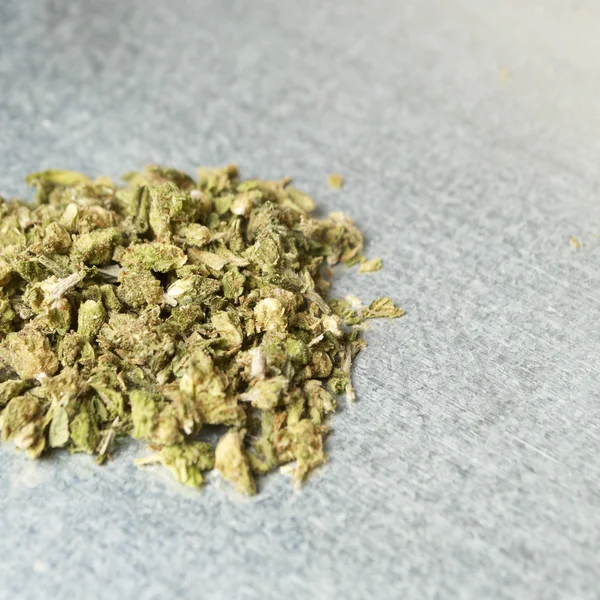 Medicinsk marijuana och cannabis — Stockfoto