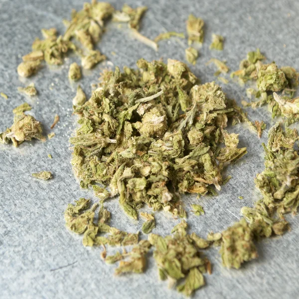 Marihuana medicinal y cannabis —  Fotos de Stock