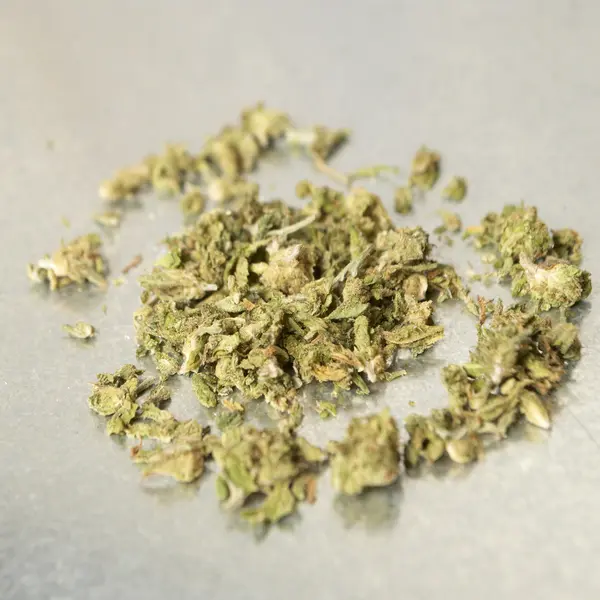 Medical Marijuana and Cannabis — Stock Photo, Image
