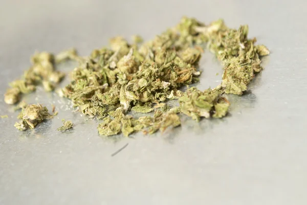 Medicinsk marijuana — Stockfoto