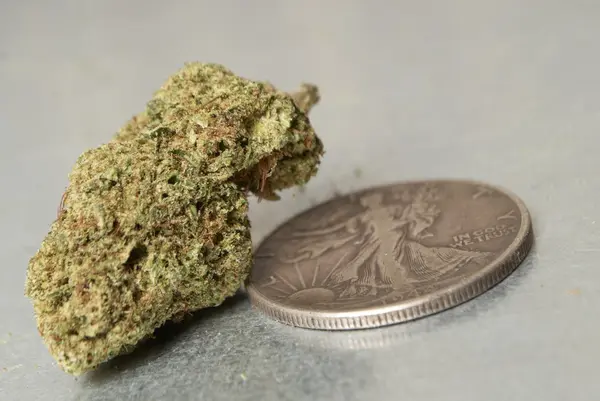Marihuana medicinal — Foto de Stock