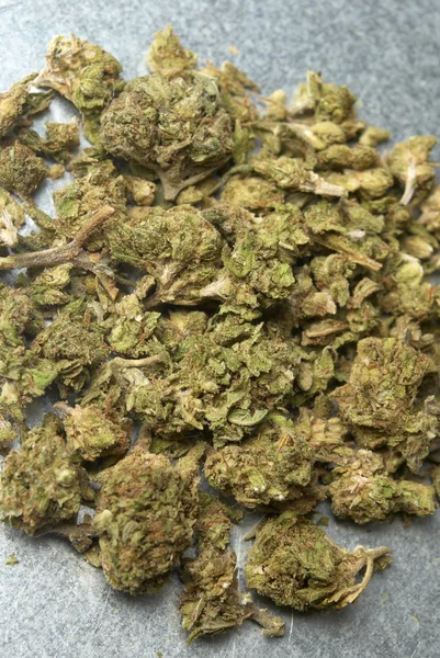 Medicinsk marijuana — Stockfoto