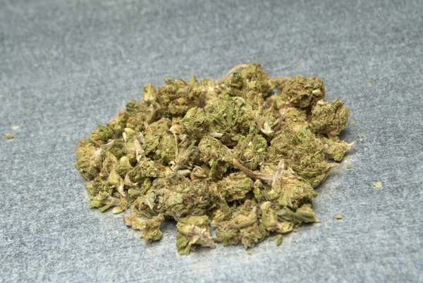 Medicinsk marijuana — Stockfoto