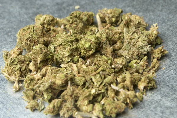 Medicinsk marijuana — Stockfoto