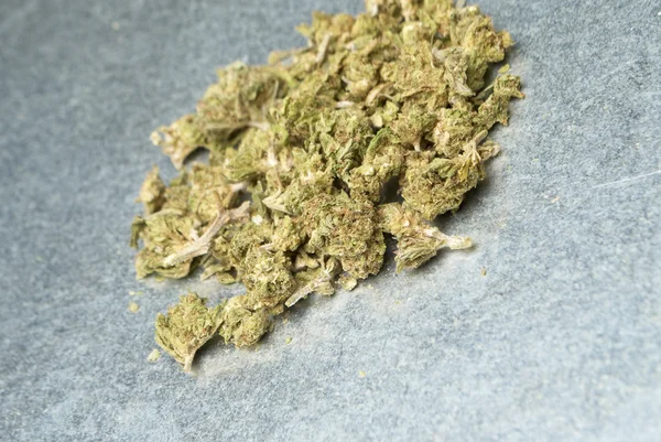 Medicinsk marijuana — Stockfoto