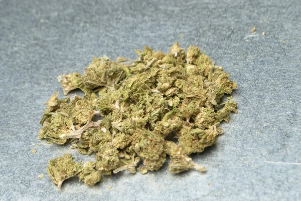 Medicinsk marijuana — Stockfoto