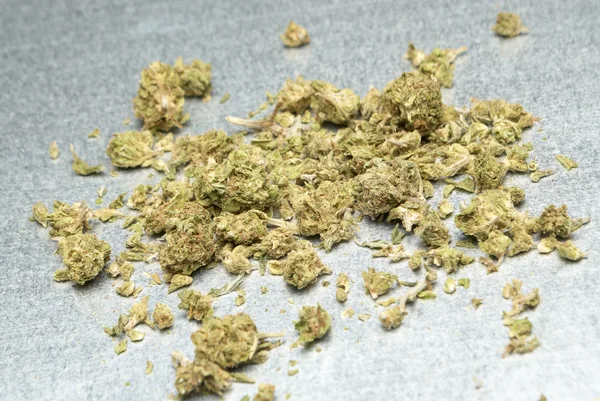 Marijuana medicinal — Fotografia de Stock