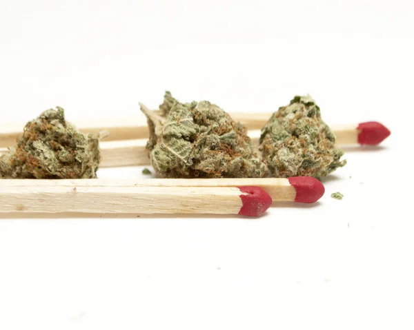 Marihuana — Stockfoto