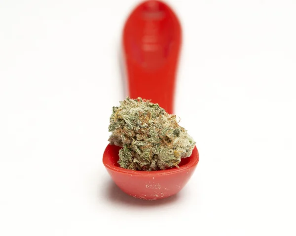 Marijuana — Stock Photo, Image