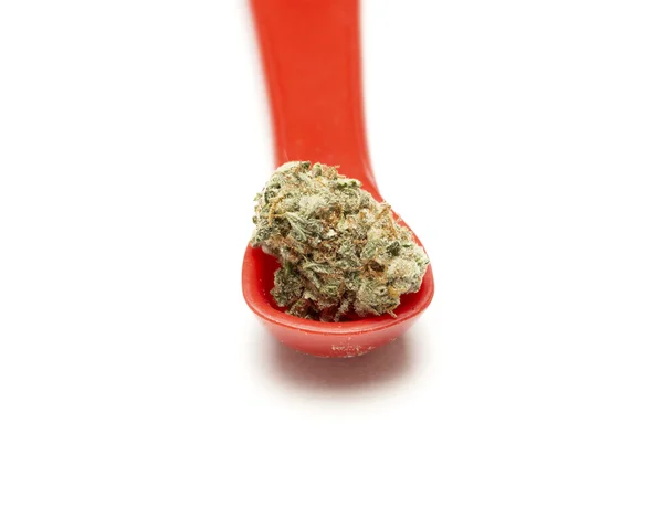 Marihuana — Stockfoto