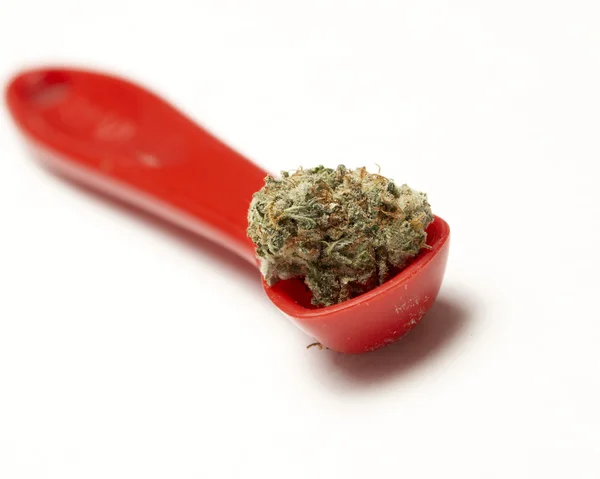 Marijuana — Stock Photo, Image