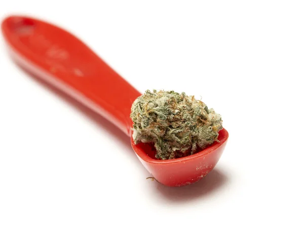 Marijuana — Stock Photo, Image