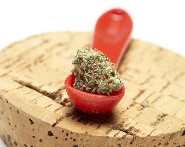 Marijuana — Stock Photo, Image