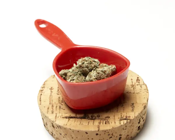 Marihuana — Stockfoto