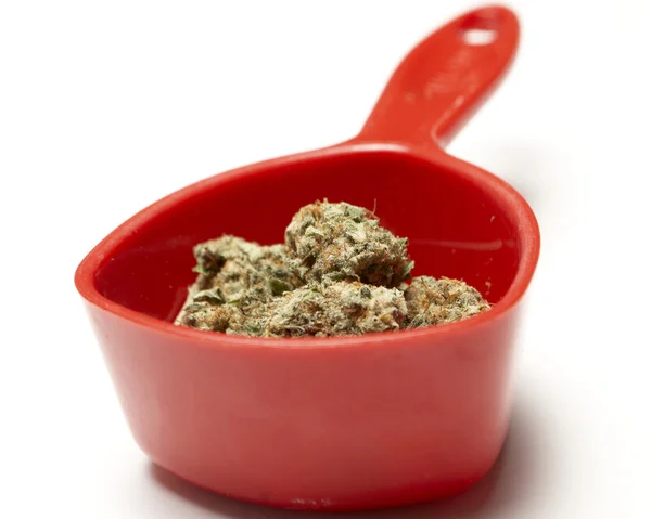 Marijuana — Stock Photo, Image