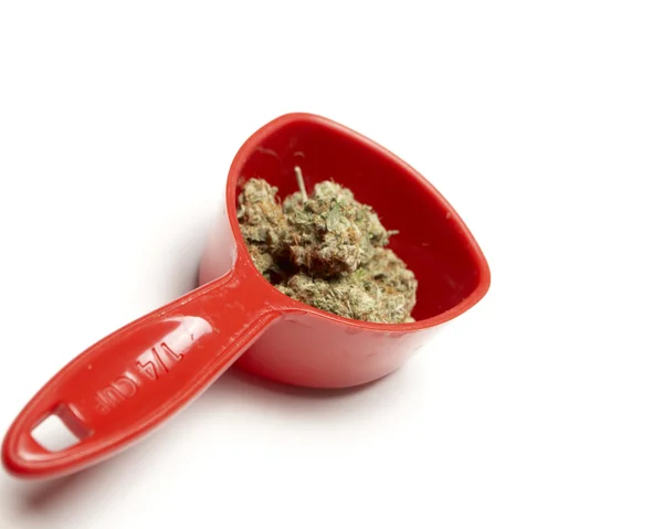 Marijuana — Stock Photo, Image