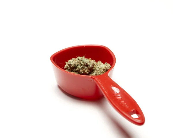 Marihuana — Stockfoto