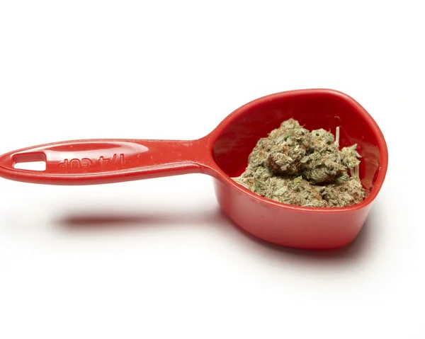 Marijuana — Stock Photo, Image