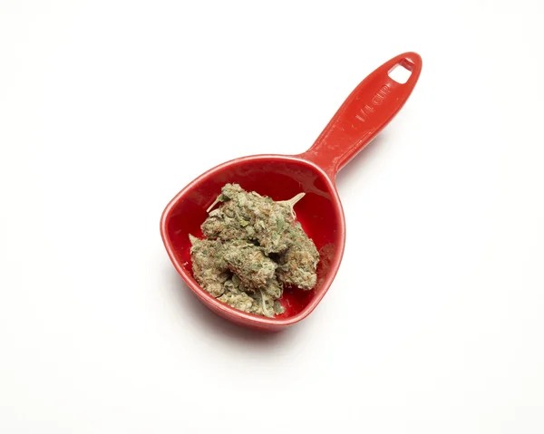 Marihuana — Stockfoto