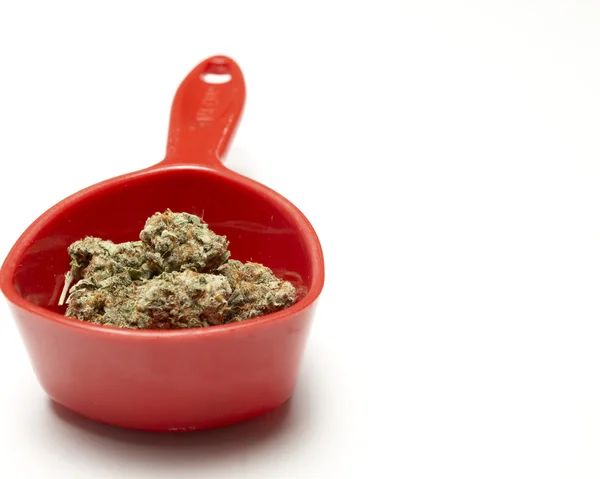 Marijuana — Stock Photo, Image