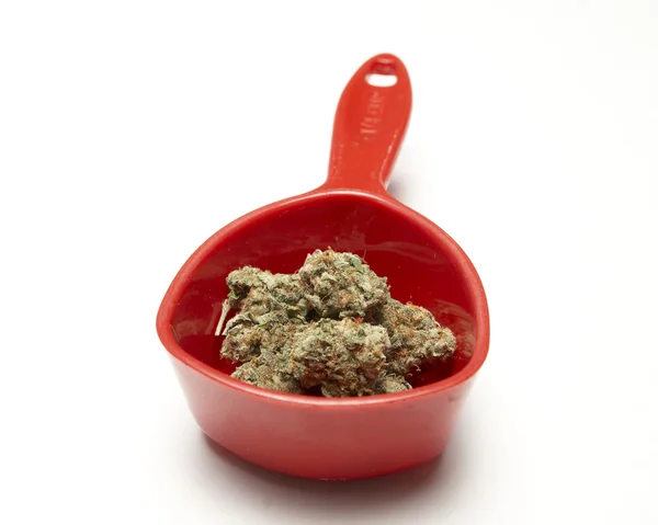 Marihuana — Stockfoto